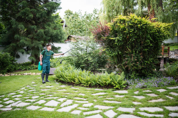 Best Best Pest Control Companies  in Mountain Home, NC