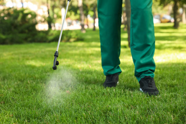 Best Mosquito Control Services  in Mountain Home, NC