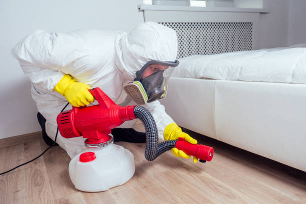 Best Pest Prevention Services  in Mountain Home, NC