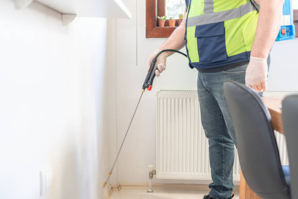 Best Mosquito Control Services  in Mountain Home, NC