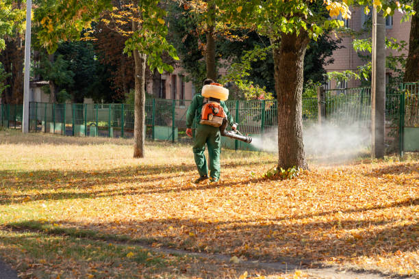 Reliable Mountain Home, NC Pest Control Solutions