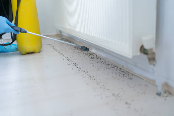 Best Wildlife Control Services  in Mountain Home, NC