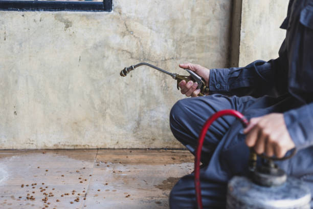 Best Best Pest Control Companies  in Mountain Home, NC